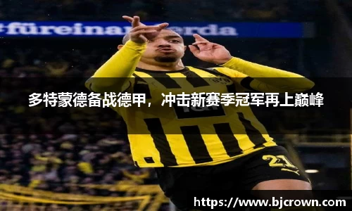 多特蒙德备战德甲，冲击新赛季冠军再上巅峰