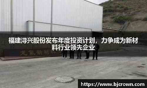 福建浔兴股份发布年度投资计划，力争成为新材料行业领先企业